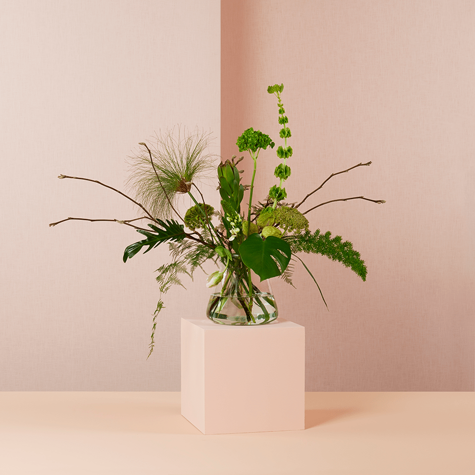 Bloomon_January_Campaign_04